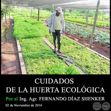 CUIDADOS DE LA HUERTA ECOLGICA - Ing. Agr. FERNANDO DAZ SHENKER - 02 de Noviembre de 2016